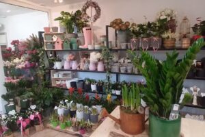 Kwiaciarnia Różanka