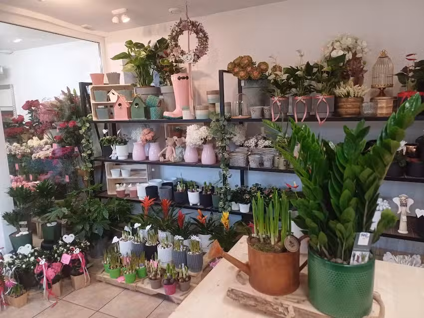 Kwiaciarnia Różanka