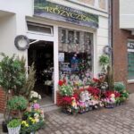 Kwiaciarnia Różyczka