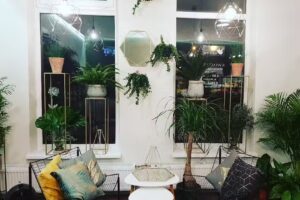 Kwiaciarnia San Alberto