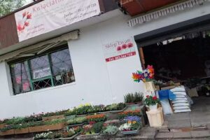 Kwiaciarnia-Sklep Ewan