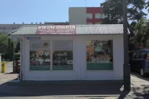 Kwiaciarnia Słonecznik w Koninie