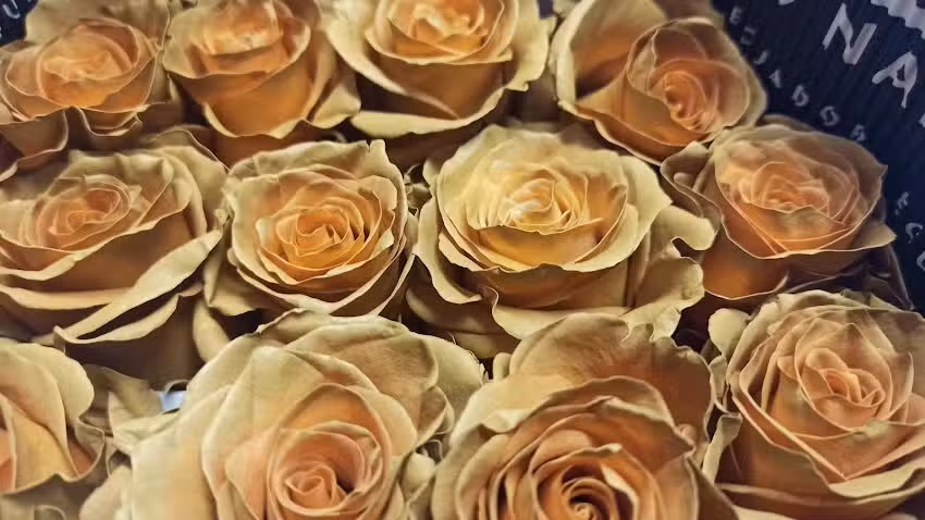 Kwiaciarnia Słonecznik