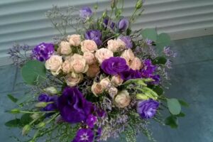 KWIACIARNIA SŁONECZNIKI. Pawlisz I.