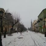 Kwiaciarnia Sochaccy