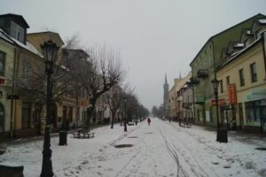 Kwiaciarnia Sochaccy