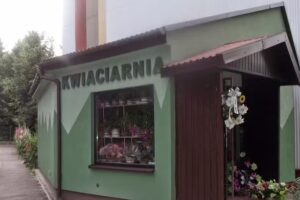 Kwiaciarnia Stokrotka