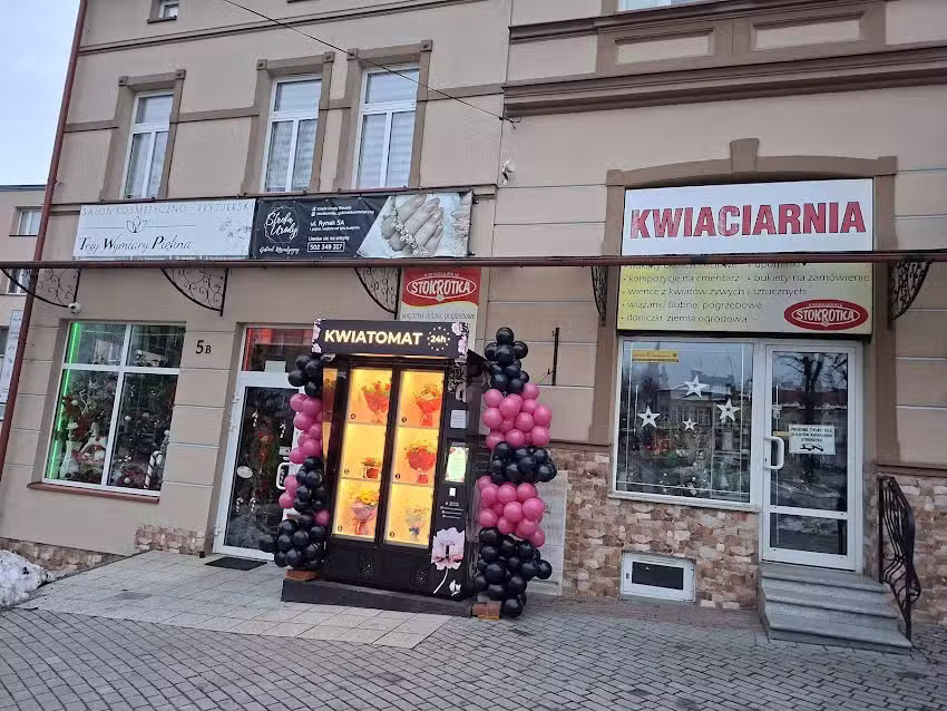 Kwiaciarnia Stokrotka