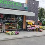 Kwiaciarnia „Stokrotka”