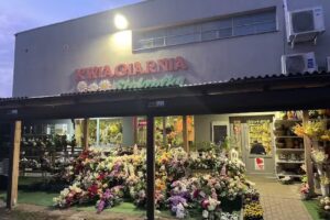 Kwiaciarnia Stokrotka