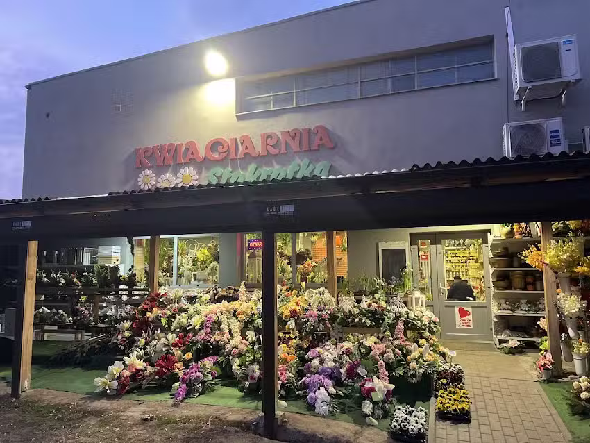 Kwiaciarnia Stokrotka