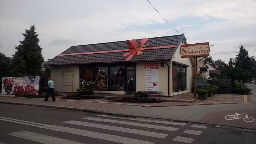 Kwiaciarnia Stokrotka