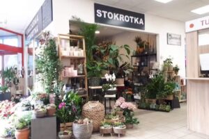 Kwiaciarnia Stokrotka Ewelina Szygenda