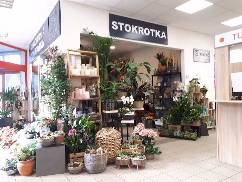 Kwiaciarnia Stokrotka Ewelina Szygenda