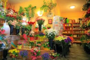 Kwiaciarnia Stokrotka, Krzemieniewo, Justyna Chudzińska & Marzena Kołodziej