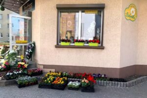 Kwiaciarnia Stokrotka Poczta Kwiatowa Mońki & Pralnia