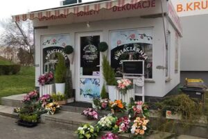 KWIACIARNIA Storczyk