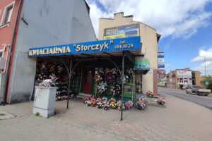 Kwiaciarnia Storczyk
