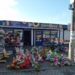 Kwiaciarnia Sunflower