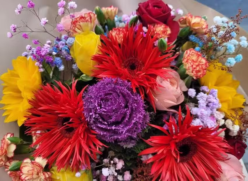 Kwiaciarnia Sunflower