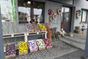 Kwiaciarnia Szumi Las