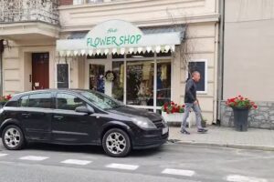 Kwiaciarnia The Flower Shop Strzelno