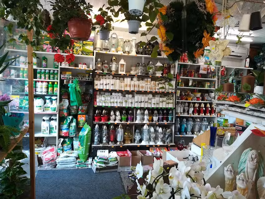 Kwiaciarnia Trefniś Górka T