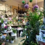 Kwiaciarnia Tuberoza