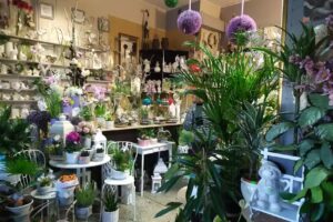 Kwiaciarnia Tuberoza