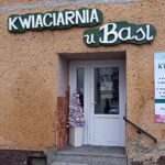 Kwiaciarnia U Basi