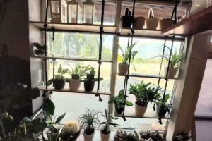 Kwiaciarnia u Haliny (kompozycje funeralne u Haliny)