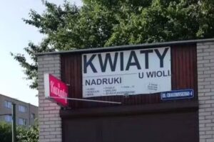 Kwiaciarnia U Wioli. Kwiaciarnia Gdańsk Chełm