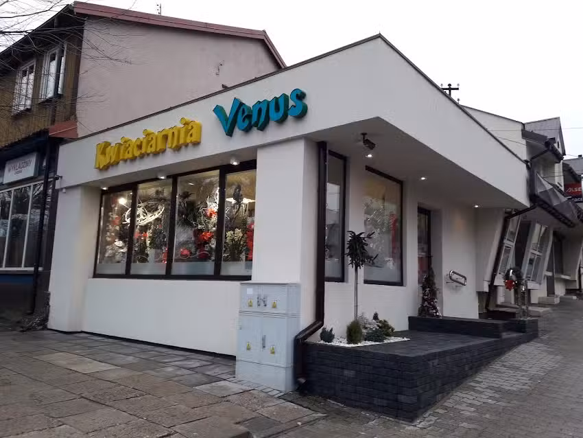 Kwiaciarnia Venus
