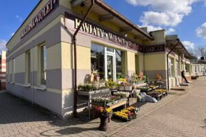 Kwiaciarnia VIOLET – Głogów