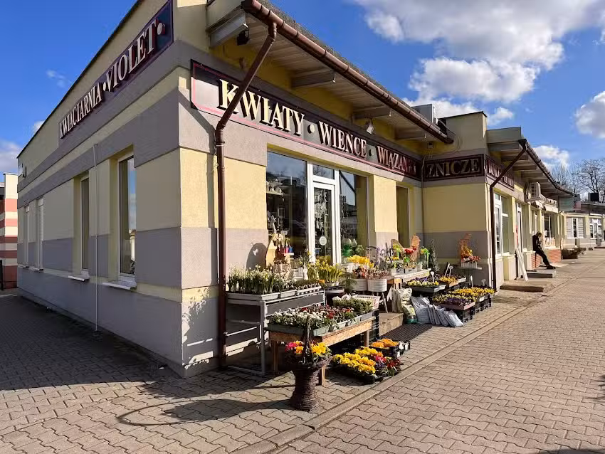 Kwiaciarnia VIOLET – Głogów