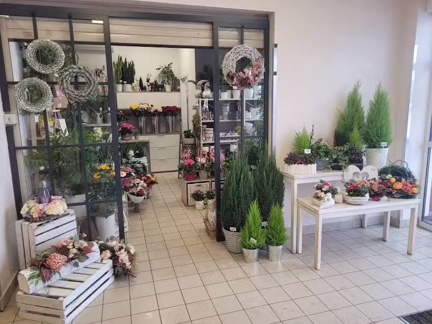 Kwiaciarnia w Intermarche Toruń / Kwiatomat
