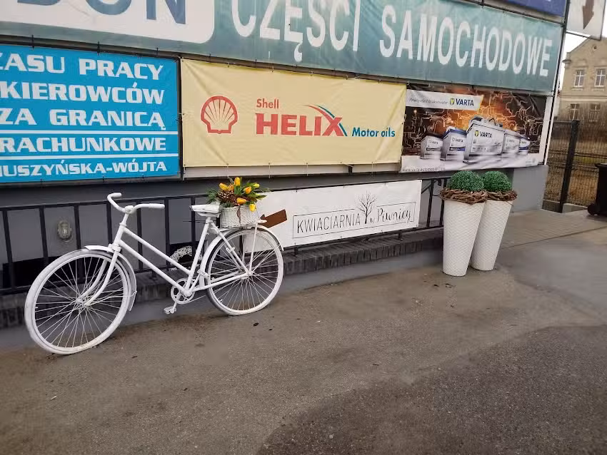 Kwiaciarnia w Piwnicy