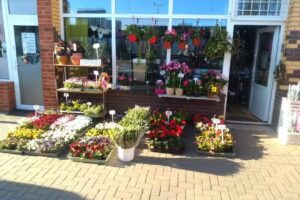 Kwiaciarnia „W Ryneczku”