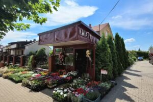 Kwiaciarnia w Wildze