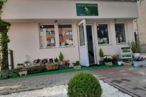 Kwiaciarnia – W Zielone Pędy