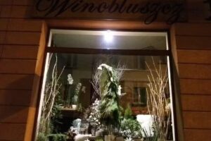Kwiaciarnia Winobluszcz