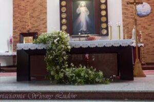 Kwiaciarnia Wiosny Ludów