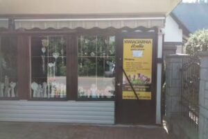 Kwiaciarnia Wisła AZALIA