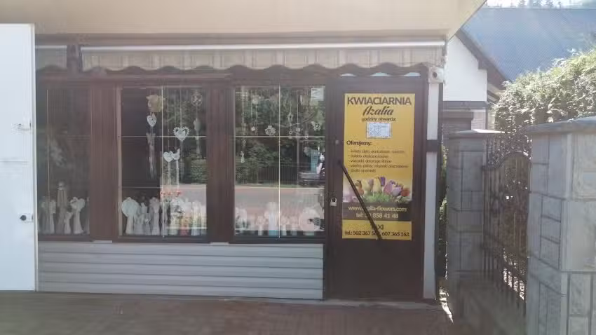 Kwiaciarnia Wisła AZALIA