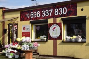 Kwiaciarnia z Klimatem Dąbrowa Górnicza