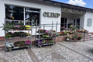 Kwiaciarnia Żagań Olimp