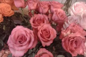 Kwiaciarnia Zakątek – Krzysztof Karpus