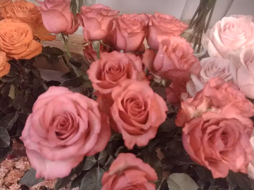 Kwiaciarnia Zakątek – Krzysztof Karpus