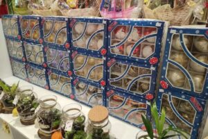 Kwiaciarnia Zamość – Kwiatomania