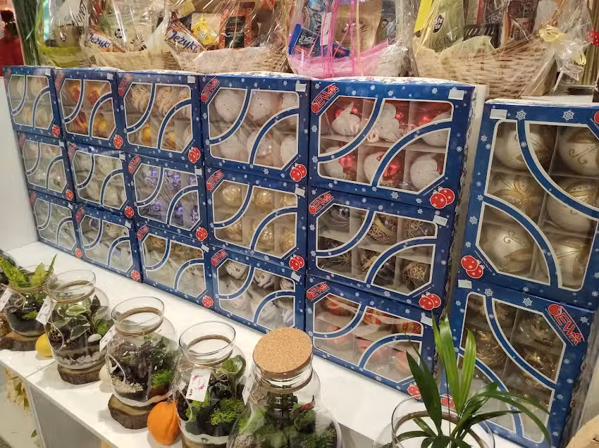 Kwiaciarnia Zamość – Kwiatomania